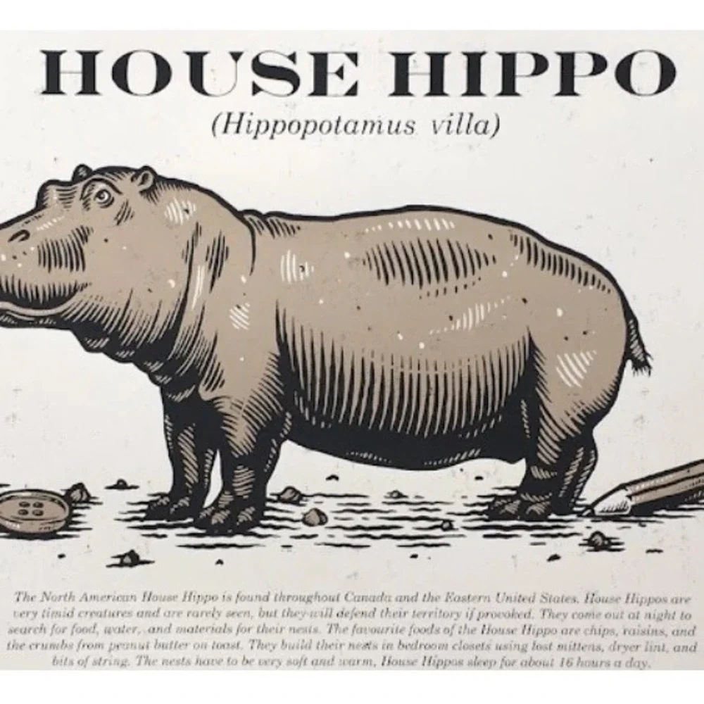 Hippo‎ Head Wall Art Wooden Hanging House Hippopotamus Hand Carved Home Decor